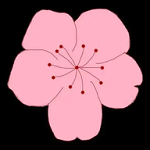 魅影my42tv直播APP应用